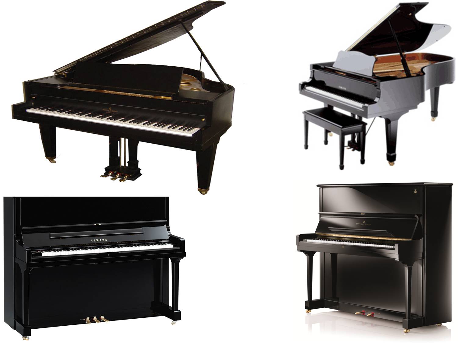 Grand Piano on rent in Delhi